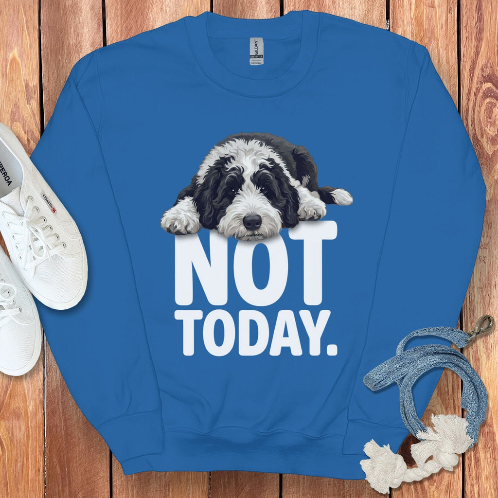 Sheepadoodle Not Today Sweatshirt in Royal / S by Puppy Jo