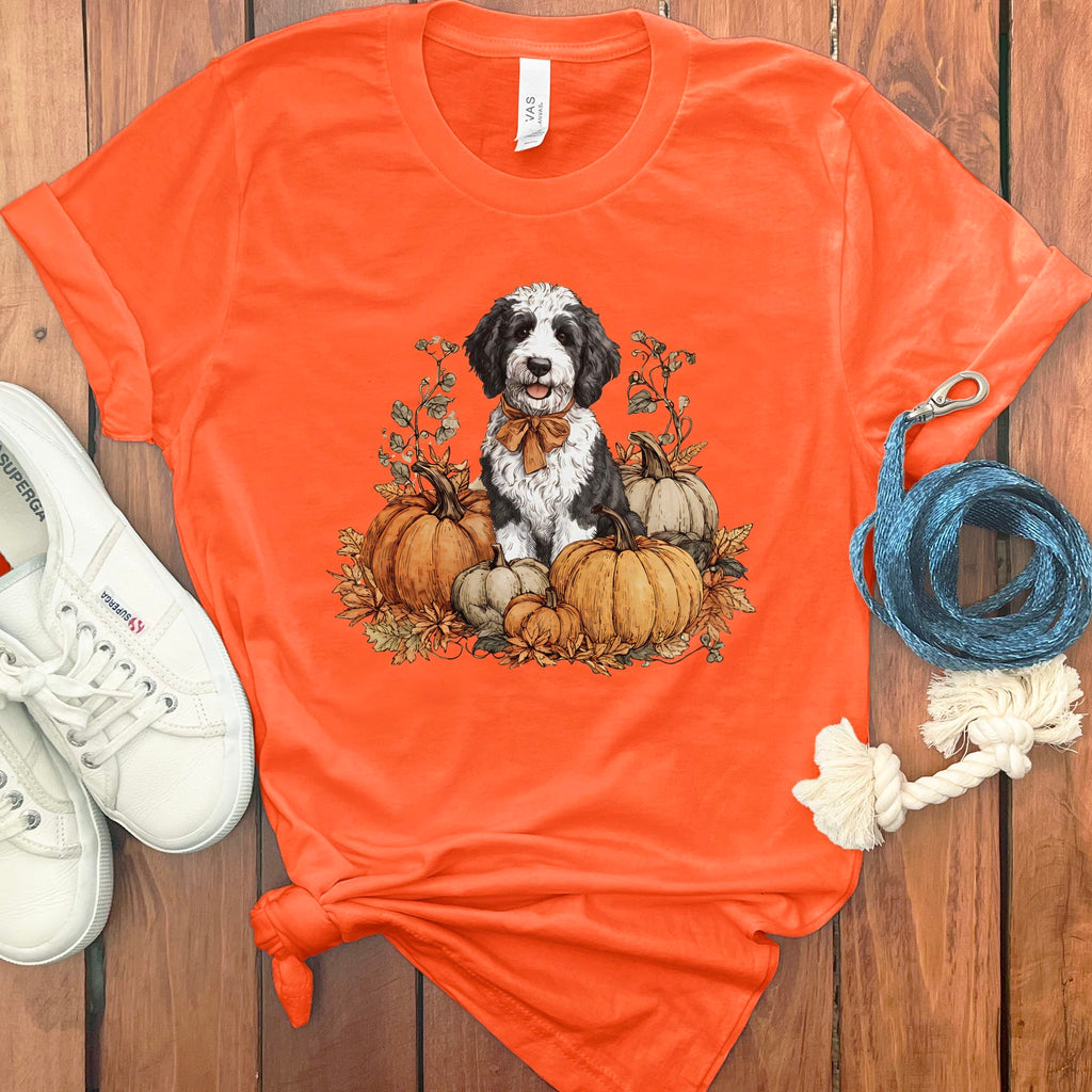 Sheepadoodle Pumpkin Time T-Shirt in Orange / S by Puppy Jo