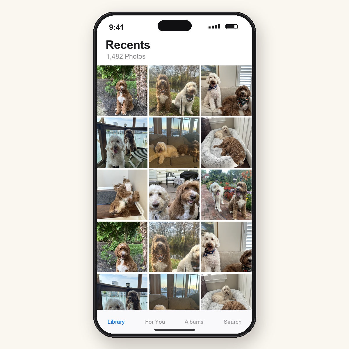 1. Upload your dog's photo